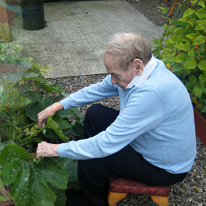 Green Fingers at CDB